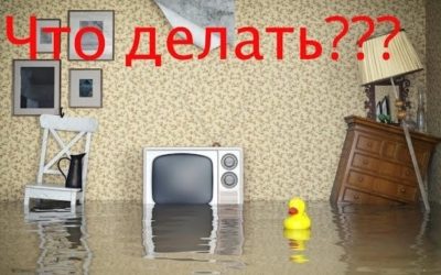 Юрист по заливу помещений
