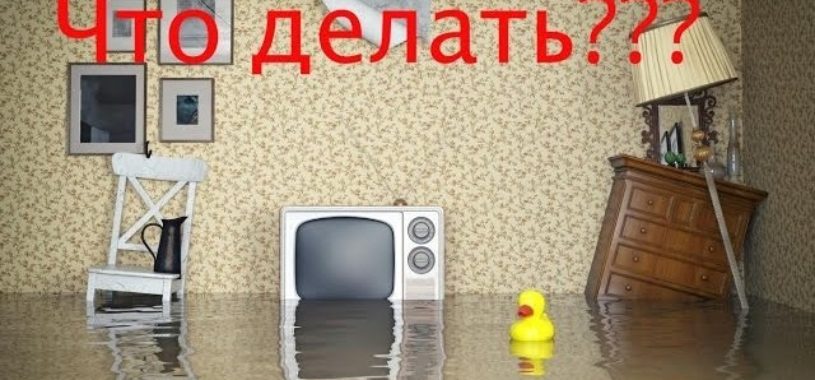 Юрист по заливу помещений